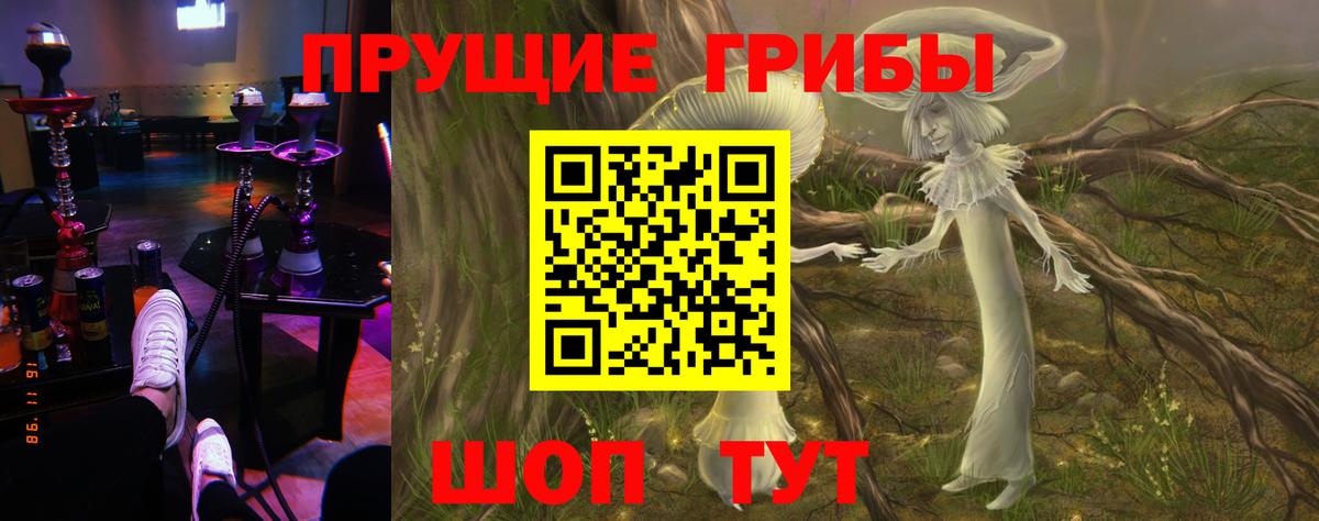 Псилоцибиновые грибы Psilocybe  Вход с VPN  Галлюциногенные грибы MAGIC MUSHROOMS  Балаково 