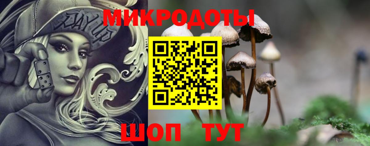 Псилоцибиновые грибы прущие грибы Балаково